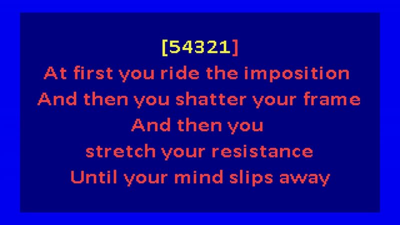 James White and The Blacks Contort Yourself (karaoke) August Darnell