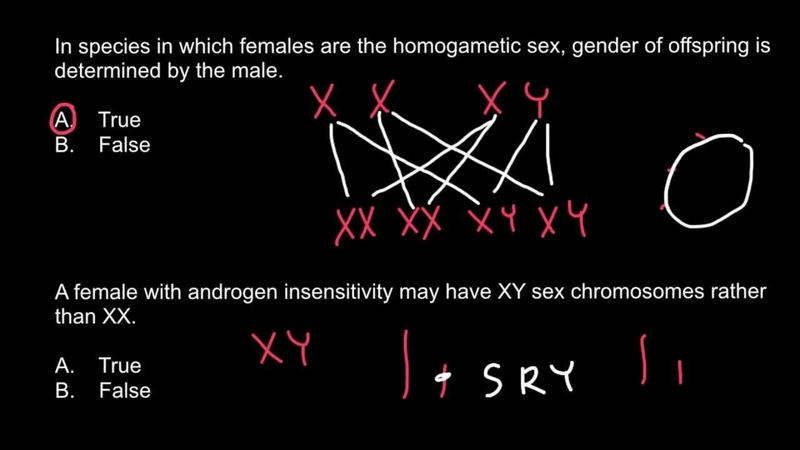 Is it possible for a female to be XY genotype or