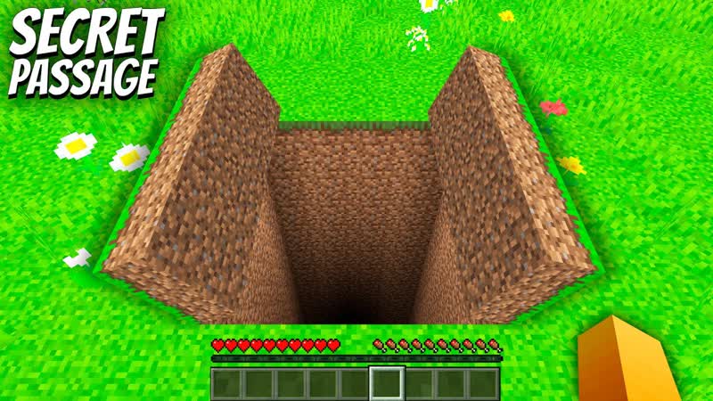 Where do lead SECRET PASSAGE in Minecraft I found a SECRET
