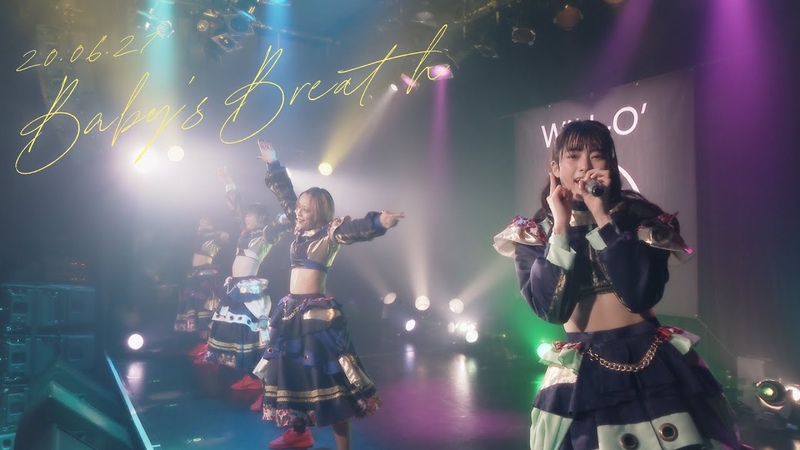 Live Clip WILL O Baby s at 無観客ライブ配信 The Beautiful Of Nature