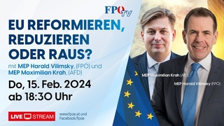 EU reformieren, reduzieren oder gar raus - Harald Vilimsky (FP) & Maximilian Krah (AfD)
