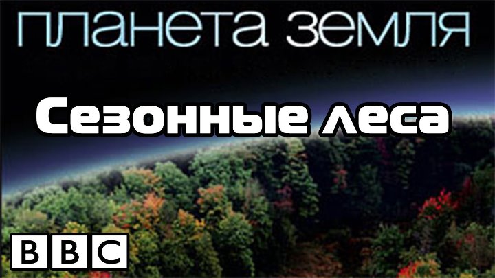 BBC: Планета Земля. Сезонные леса (2006) 720