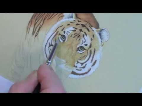 Prowling Tiger Speed