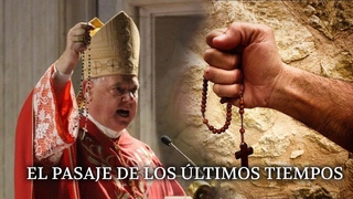 Card. Mller grita: ...est ciego
