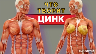 Что будет если принимать ЦИНК каждый день   Можно ли !