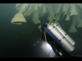 Адские колокола Cenote Zapote (Hells Bells)