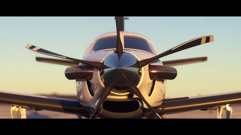Microsoft Flight Simulator: A