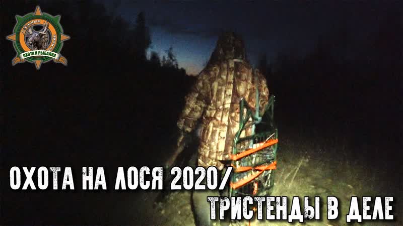 Охота на лося 2020, Идеальная погода для гона, Проверка