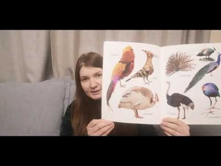 Книги, которые меня поразили. Выпуск 18 (про птиц)