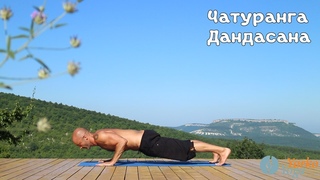 Чатуранга Дандасана. Йога для начинающих.