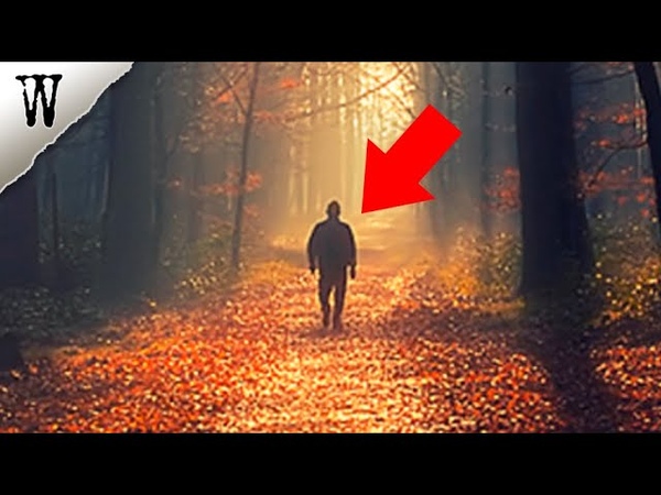 My Haunting TRUE FOREST Story, The Stalker in the