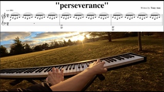 tony ann - perseverance