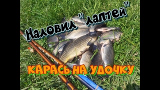 Вот это лапти в густом камыше! Ловля карася с лодки на удочку