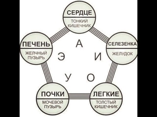 ЗВУКОВАЯ ГИМНАСТИКА