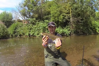 Street fishing ловля голавля подводная сьемка