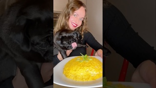 САЛАТ МИМОЗА/МИМОЗА ПО ГОСТУ#шортс #рецепты #салат #мимоза #recipe