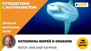 Занятие Исполины морей и океанов рубрики Путешествия с натуралистом с Александром Хабургаевым