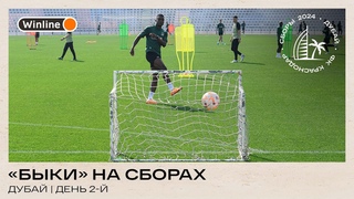 Дубай, второй день: передачи и техника