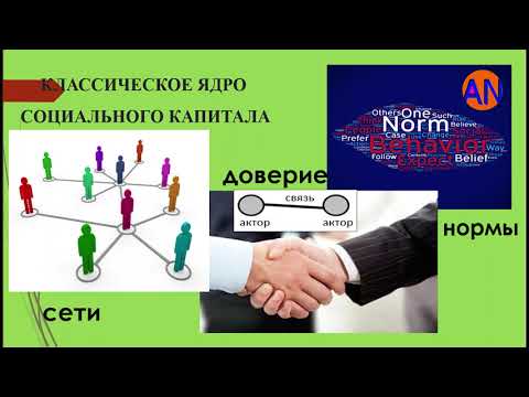 Институты социального капитала организации или