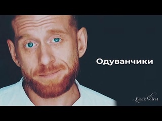Одуванчики | Автор стихотворения: Юлия Мамочева