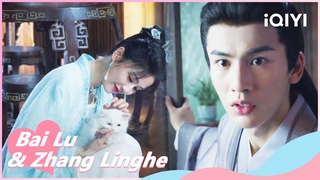 Xie Wei was Frightened by Jiang Xuening’s Cat | Story of Kunning Palace EP08 | iQIYI Romance