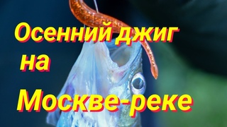 Осенний джиг на Москве-реке! Досадный сход(((