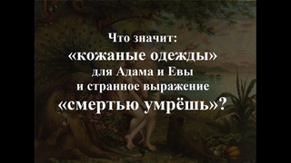 Что значит: кожаные одежды для Адама и Евы и странное выражение смертью умрёшь в Библии