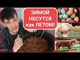 ДРОЖЖЕВАНИЕ по рецепту ЛУЧШЕГО ЗООТЕХНИКА СТРАНЫ// ДЛЯ КУР, УДОЕВ и ПРИВЕСОВ