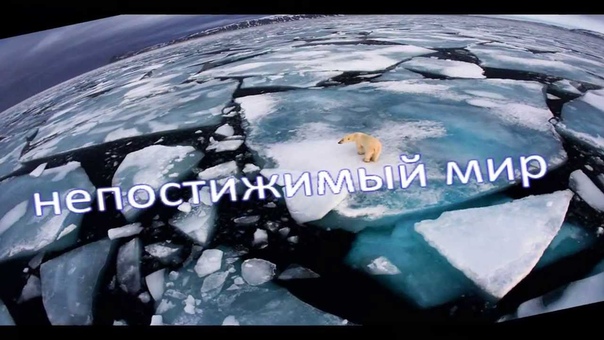Карандаш TV. Выпуск