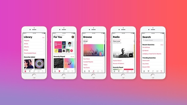 Explore the All New Apple