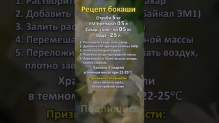 Как приготовить БОКАШИ своими руками РЕЦЕПТ бокаши Дачный агроном
