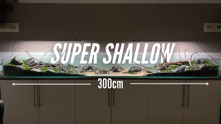 300cm Riverbed Cross Section Aquascape Tutorial