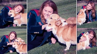 Fergie shares first touching photos of late Queen's corgis - Royal Insider