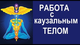 Работа с каузальным телом. Карма. Сиддхи.