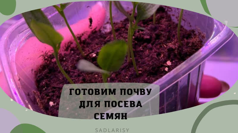 ПРАВИЛЬНЫЙ ГРУНТ ДЛЯ ПОСЕВА