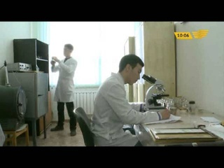Студенты из Актобе доказали вред мобильных телефонов на здоровье