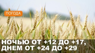 Погода на Могилевщине  // Переменная облачность, без осадков