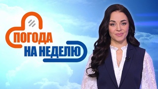 Резкое потепление и снова морозы! Прогноз погоды с 14 по 19 января | Погода в Беларуси | Плюс-минус