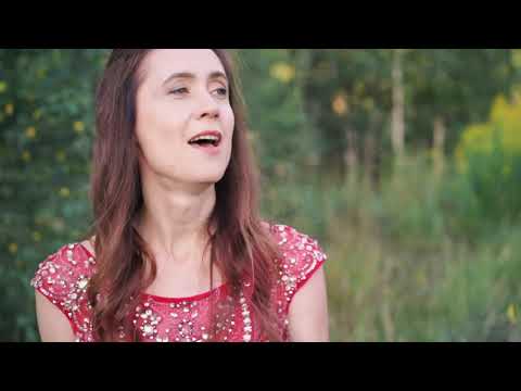 While Your Lips Are Still Red (handpan cover). Solo