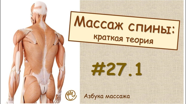 Массаж спины (краткая теория), Урок 27, часть 1, Уроки