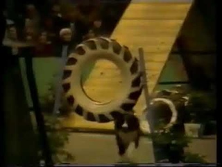 Agility Crufts 1978 Border Collie