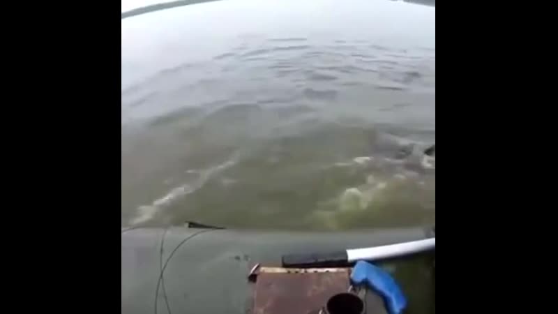 Рыбаки от Бога!