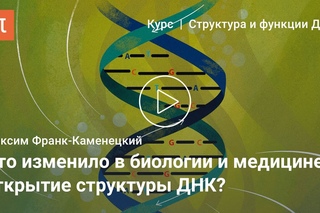 Открытие структуры ДНК — Максим Франк-Каменецкий