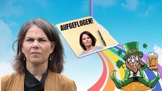 So tuscht Frau Baerbock jahrelang ein ganzes Land! Mit Hetze an die Macht! Teil 1