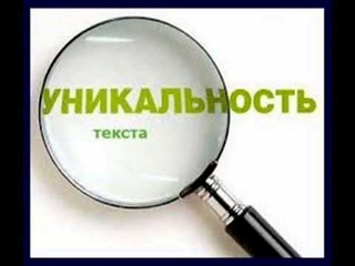 Благодаря тренингу, мы получили бесценный опыт и знания