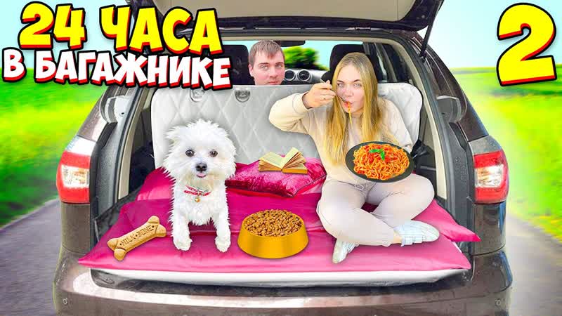 24 ЧАСА В БАГАЖНИКЕ С СОБАКОЙ ВЫПАЛИ ОТ