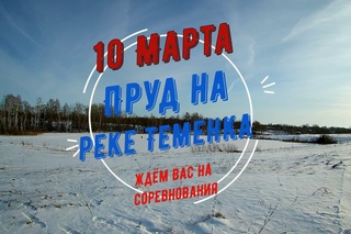 Пруд на реке Теменка