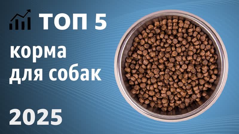 ТОП 5. Лучшие корма для собак сухие, влажные. Мелких, средних