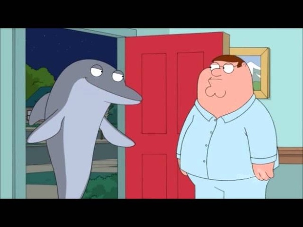 Family Guy Dolphin