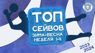 ТОП сейвов I-II игровых недель чемпионата зима-весна []